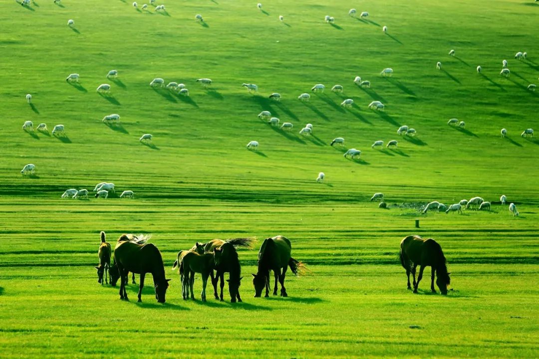 內蒙古的夏天，簡直要逼瘋攝影師！ 旅遊 第15張