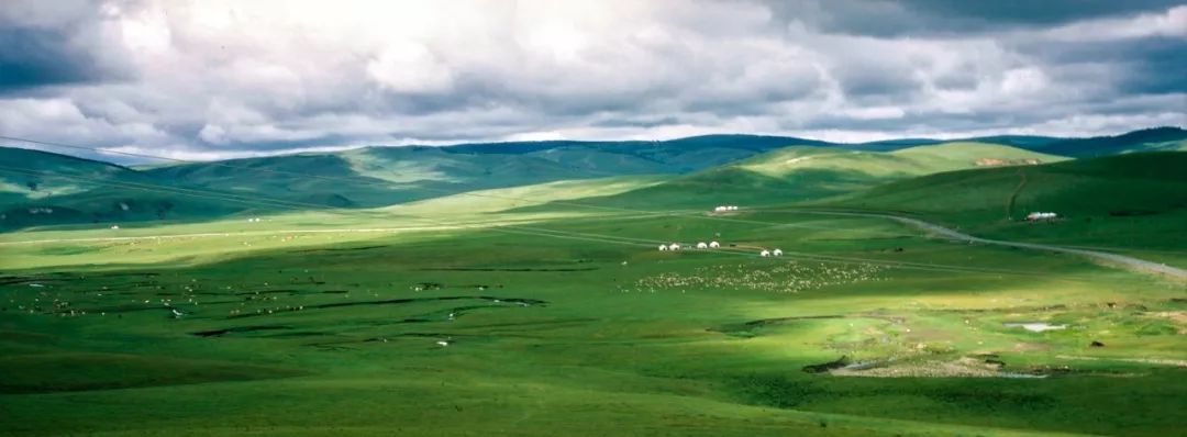 內蒙古的夏天，簡直要逼瘋攝影師！ 旅遊 第5張