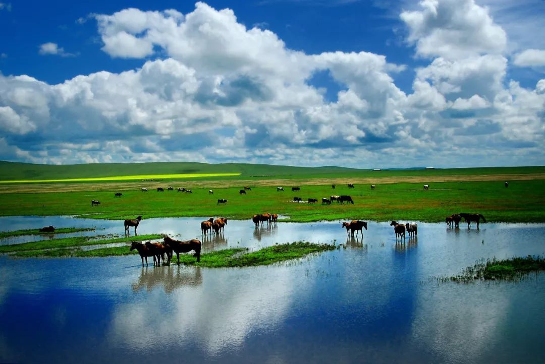 內蒙古的夏天，簡直要逼瘋攝影師！ 旅遊 第11張