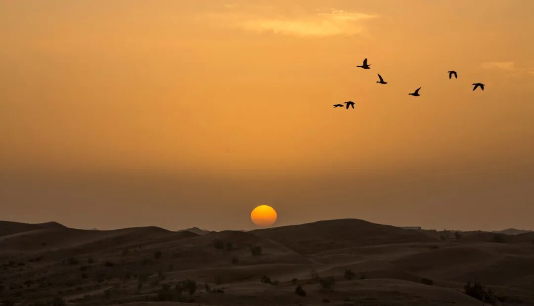 我国唯一“没有蚊子”的城市，曾是七朝古都！100块到天水，物价超低，被王维疯狂表白，却鲜为人知