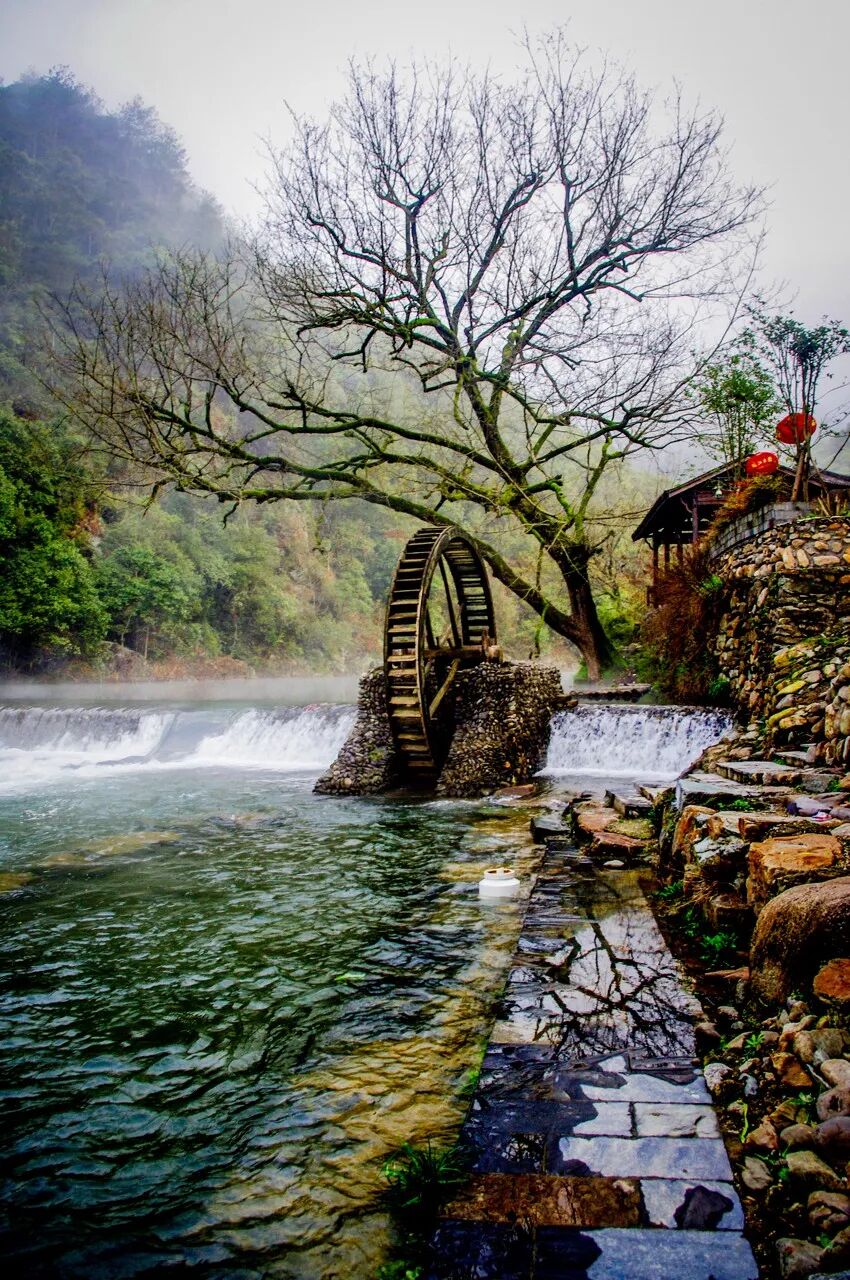 别只知道乌镇、西塘了！这个不收门票的千年古镇，人少景美，2000元能玩一个月，太适合养老了