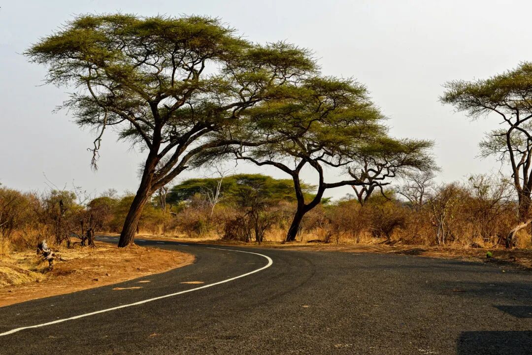 世界唯一人人“亿万富翁”的国家：一个鸡蛋20万亿，花钱论斤称，钞票遍地没人捡！却买不起水喝......