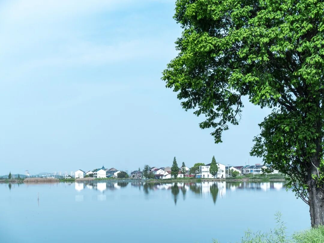 中国最“臭”的城市：臭晕游客，吃吐无数人！比柳州还“上头”，却让鲁迅表白！穷游必去，比苏杭更诗意