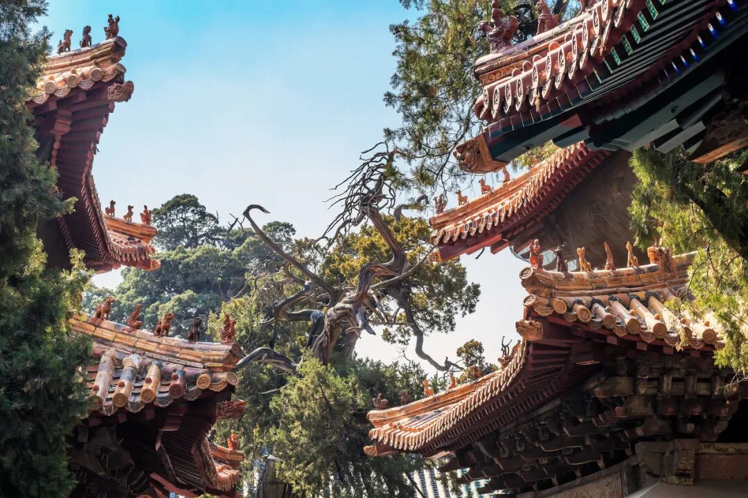 中国15个“天下第一”，去过7个此生无憾，你去过几个？