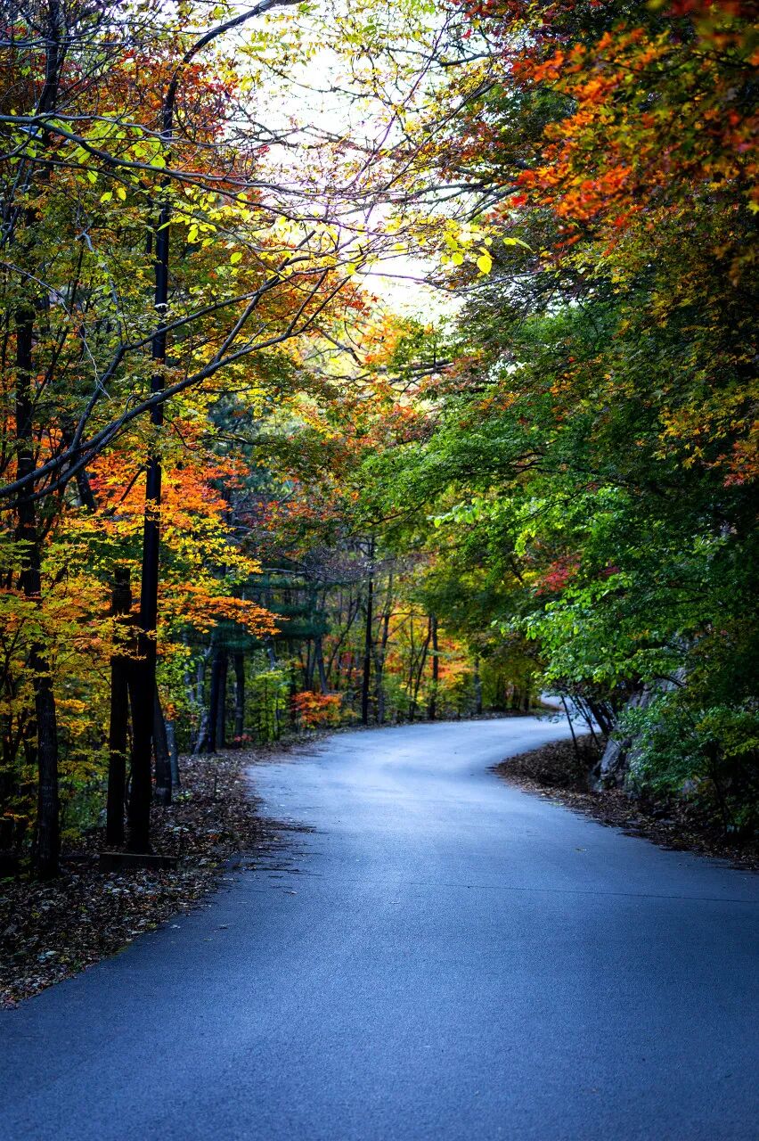 中国最大的“边境”城市，1000元就能玩爽！水果管够，海鲜管饱，比大连安逸，还藏着最美的秋色