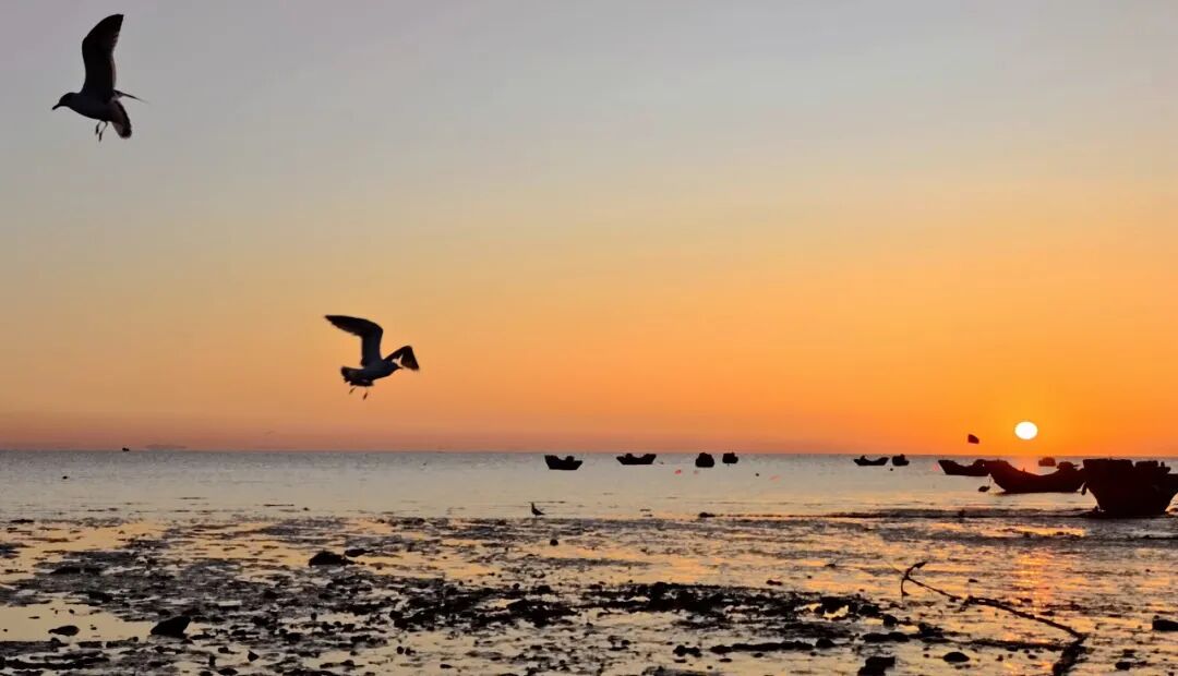 中国最大的“边境”城市，1000元就能玩爽！水果管够，海鲜管饱，比大连安逸，还藏着最美的秋色