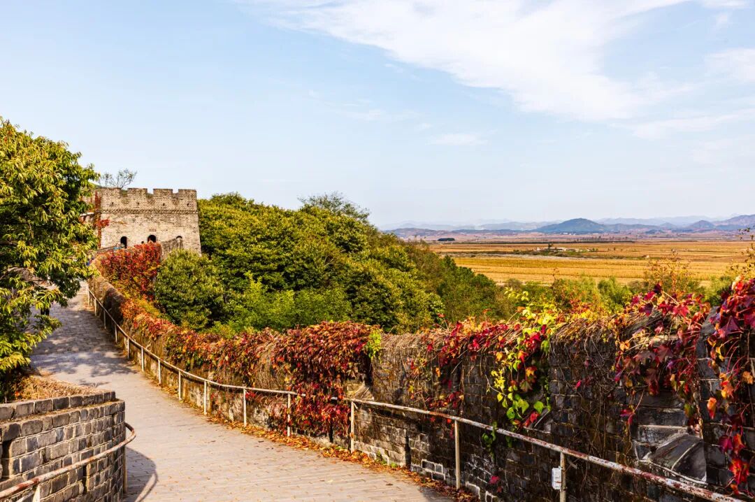 中国最大的“边境”城市，1000元就能玩爽！水果管够，海鲜管饱，比大连安逸，还藏着最美的秋色