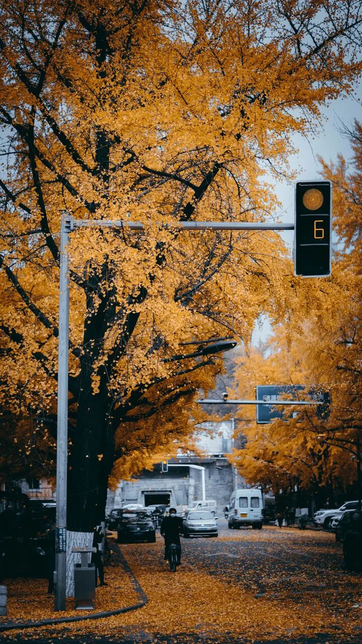 中国最大的“边境”城市，1000元就能玩爽！水果管够，海鲜管饱，比大连安逸，还藏着最美的秋色