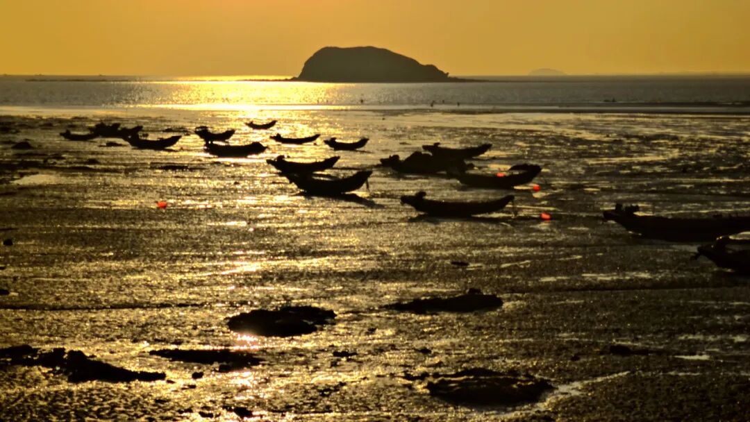 中国最大的“边境”城市，1000元就能玩爽！水果管够，海鲜管饱，比大连安逸，还藏着最美的秋色