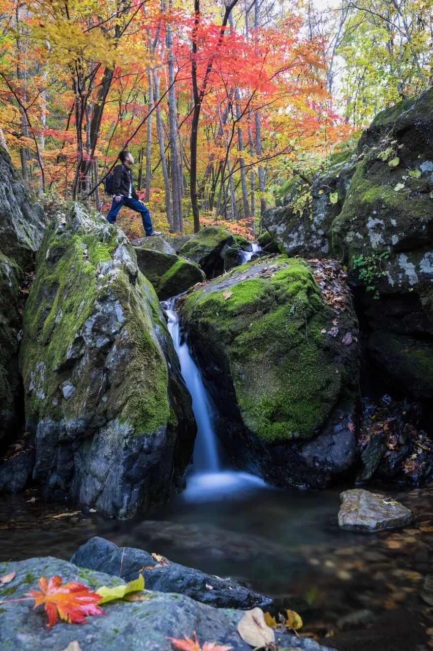 中国最大的“边境”城市，1000元就能玩爽！水果管够，海鲜管饱，比大连安逸，还藏着最美的秋色