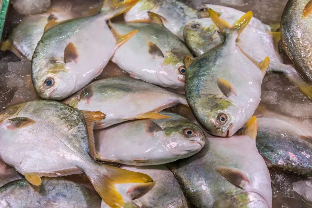 中国最大的“边境”城市，1000元就能玩爽！水果管够，海鲜管饱，比大连安逸，还藏着最美的秋色