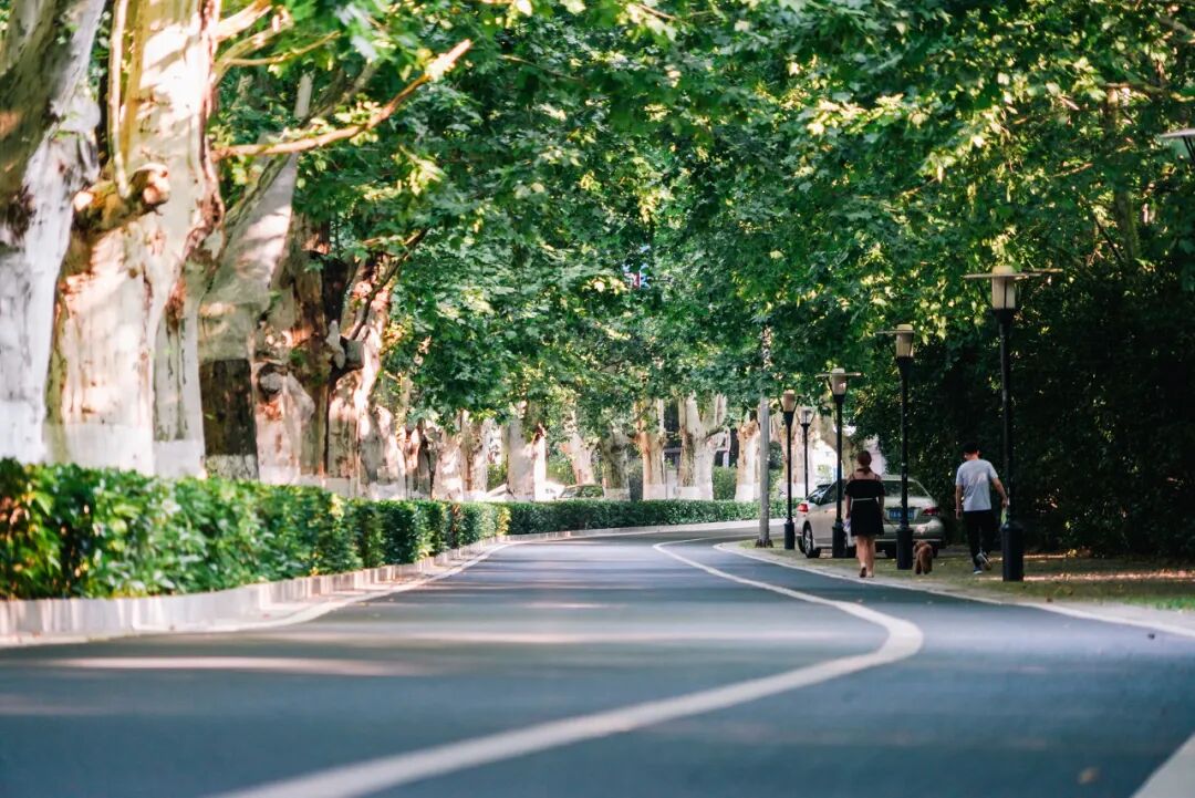 江苏与安徽交界有座城市，历史悠久风水极佳，曾是世界最大的城市，如今被争当省会！