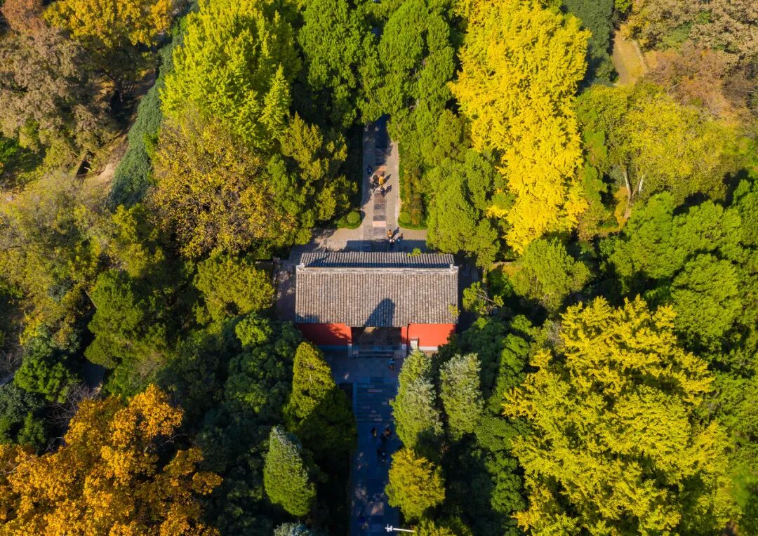 江苏与安徽交界有座城市，历史悠久风水极佳，曾是世界最大的城市，如今被争当省会！