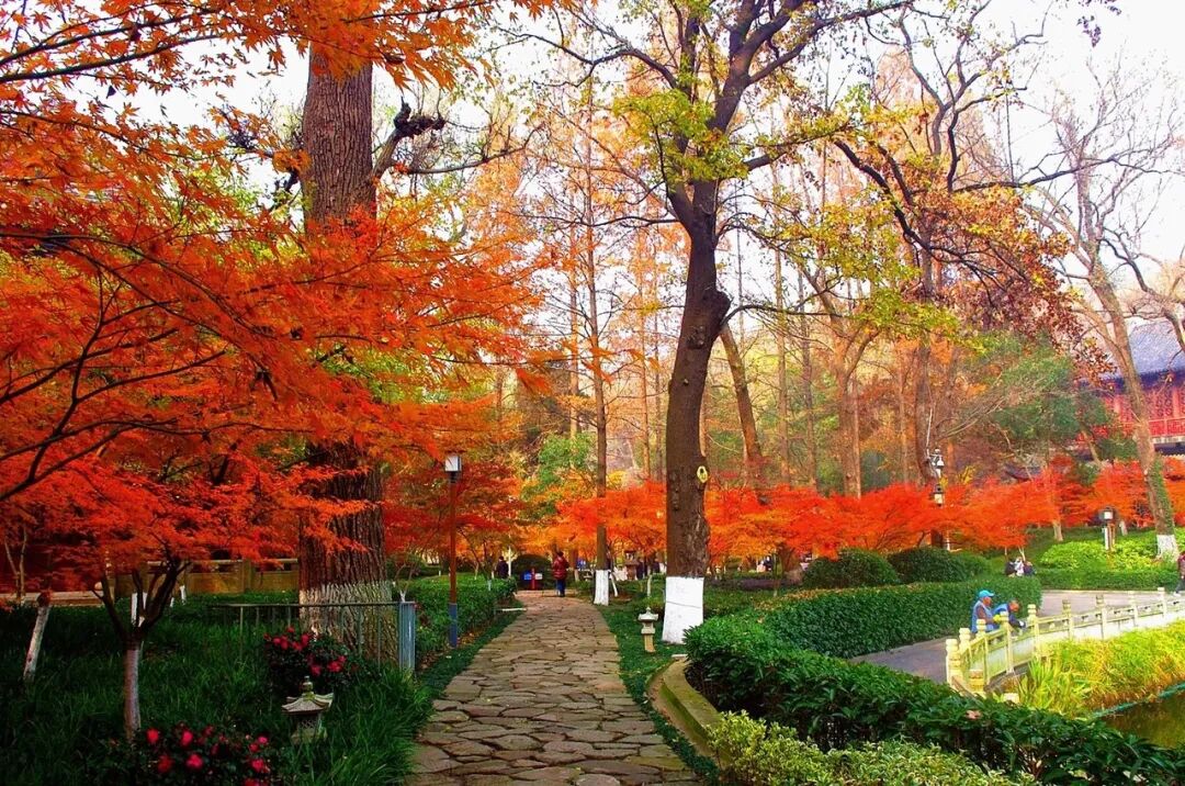 江苏与安徽交界有座城市，历史悠久风水极佳，曾是世界最大的城市，如今被争当省会！