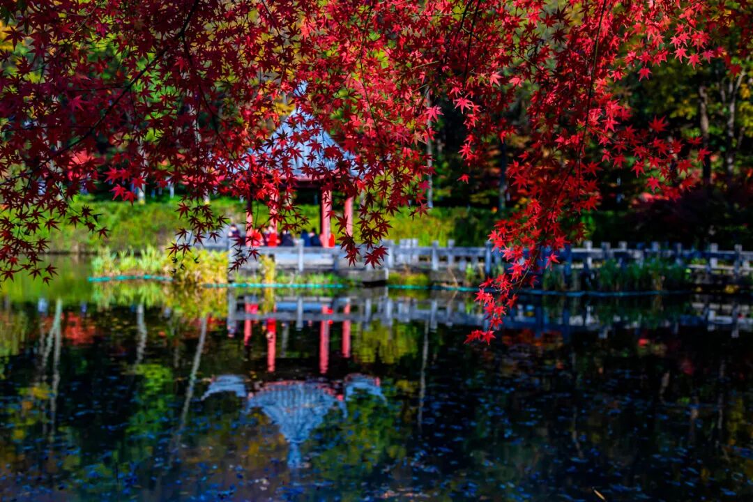 江苏与安徽交界有座城市，历史悠久风水极佳，曾是世界最大的城市，如今被争当省会！