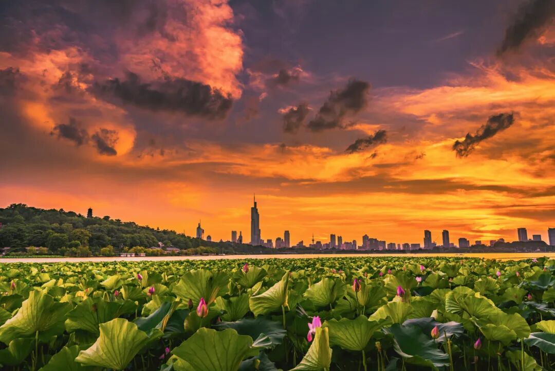 江苏与安徽交界有座城市，历史悠久风水极佳，曾是世界最大的城市，如今被争当省会！