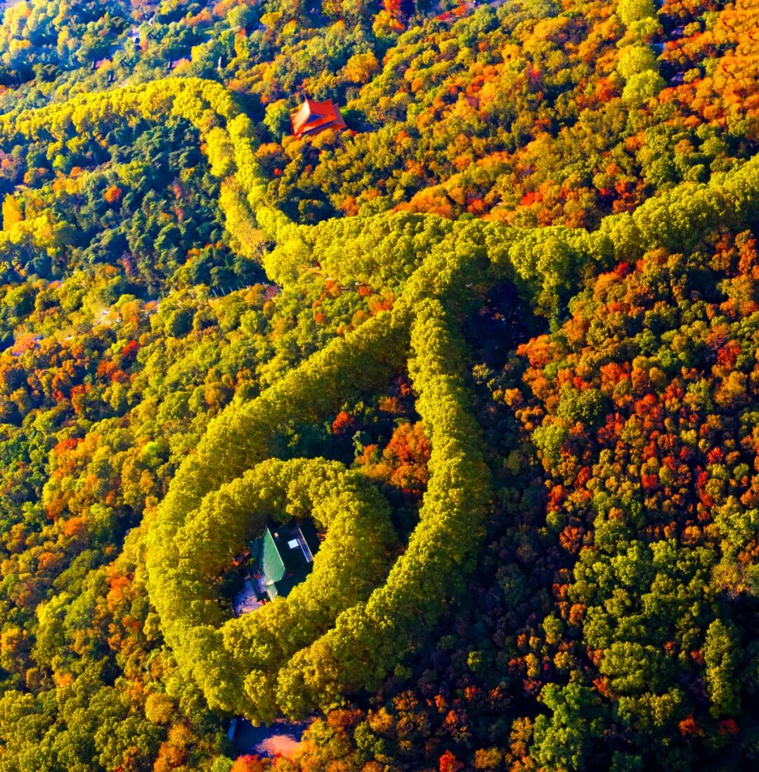 江苏与安徽交界有座城市，历史悠久风水极佳，曾是世界最大的城市，如今被争当省会！