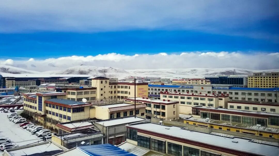 中国唯一没有“树”的城市：种活一棵奖励30万！比韩国大3倍，景色绝美，却无人敢去......