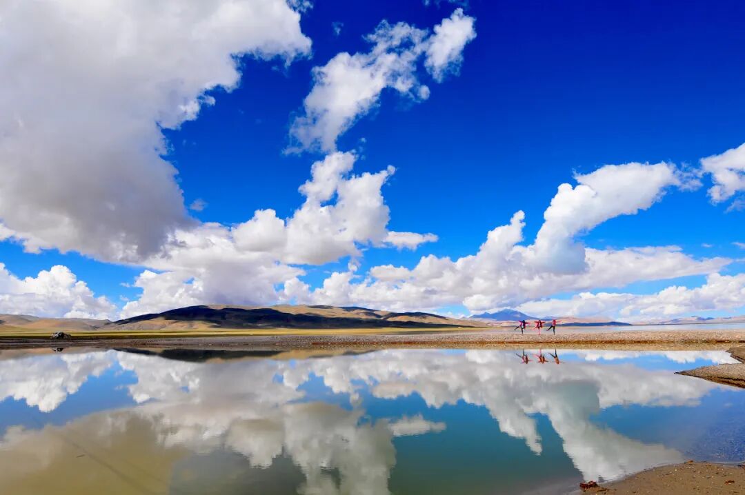 中国唯一没有“树”的城市：种活一棵奖励30万！比韩国大3倍，景色绝美，却无人敢去......