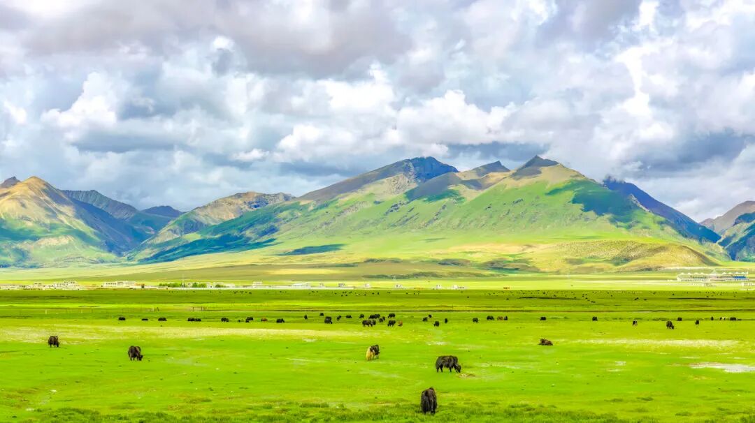 中国唯一没有“树”的城市：种活一棵奖励30万！比韩国大3倍，景色绝美，却无人敢去......