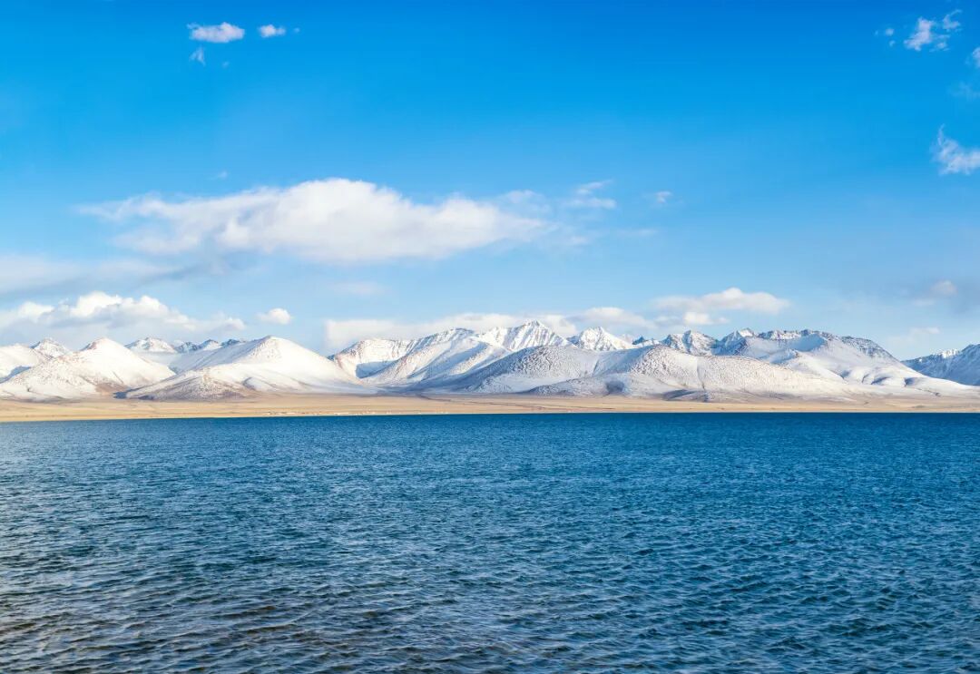 中国唯一没有“树”的城市：种活一棵奖励30万！比韩国大3倍，景色绝美，却无人敢去......