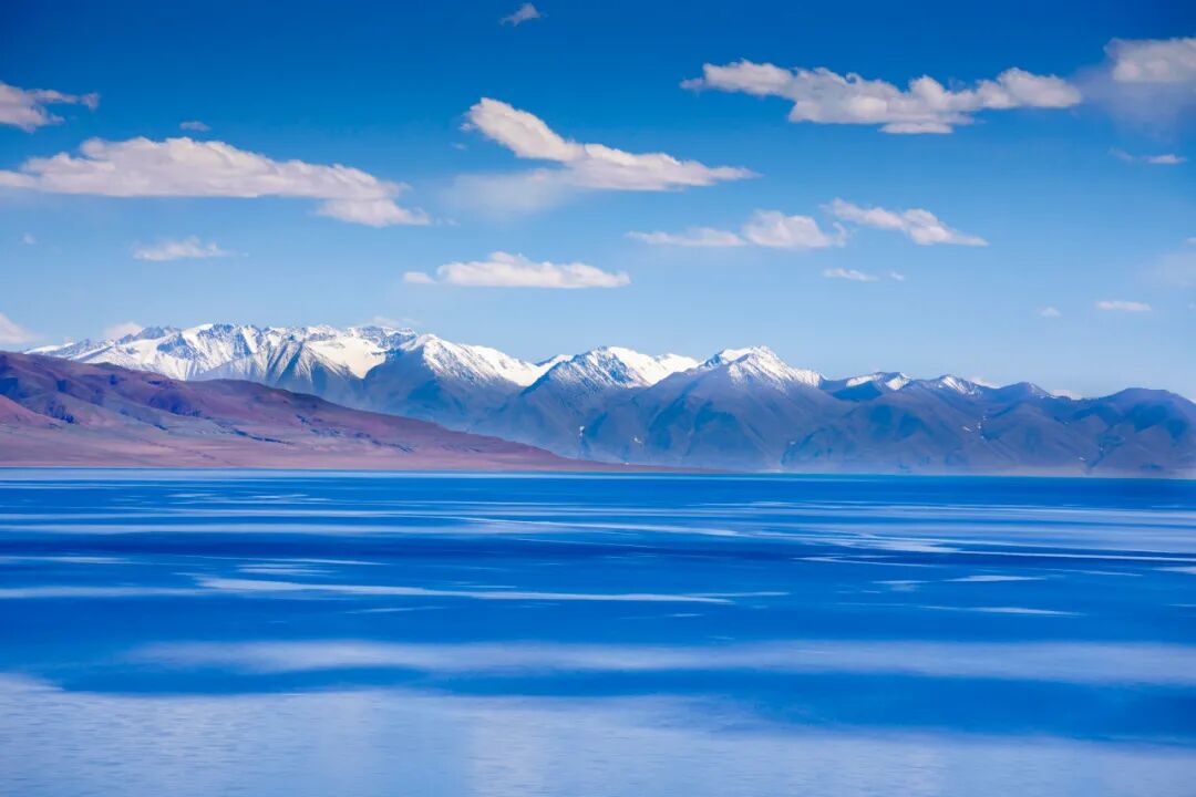 中国唯一没有“树”的城市：种活一棵奖励30万！比韩国大3倍，景色绝美，却无人敢去......