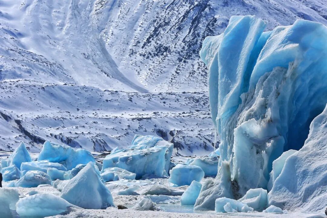 中国唯一没有“树”的城市：种活一棵奖励30万！比韩国大3倍，景色绝美，却无人敢去......