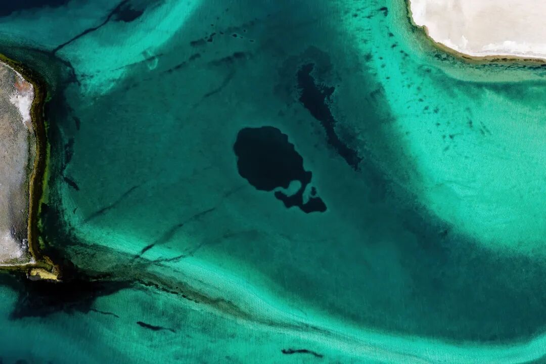 中国唯一没有“树”的城市：种活一棵奖励30万！比韩国大3倍，景色绝美，却无人敢去......