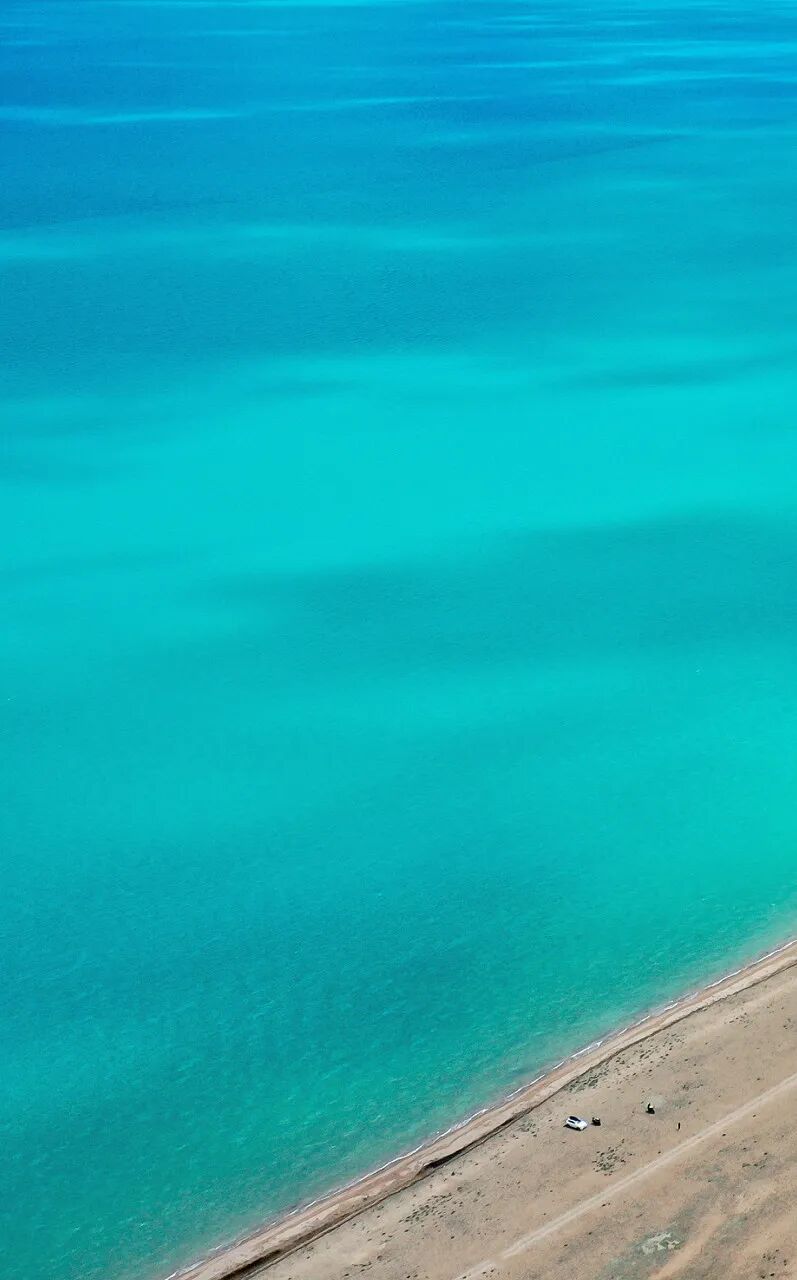 中国唯一没有“树”的城市：种活一棵奖励30万！比韩国大3倍，景色绝美，却无人敢去......