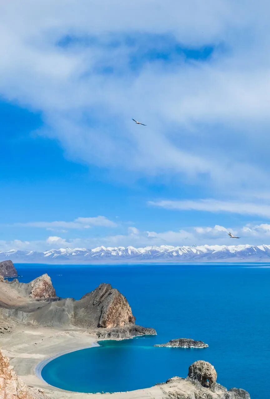 中国唯一没有“树”的城市：种活一棵奖励30万！比韩国大3倍，景色绝美，却无人敢去......