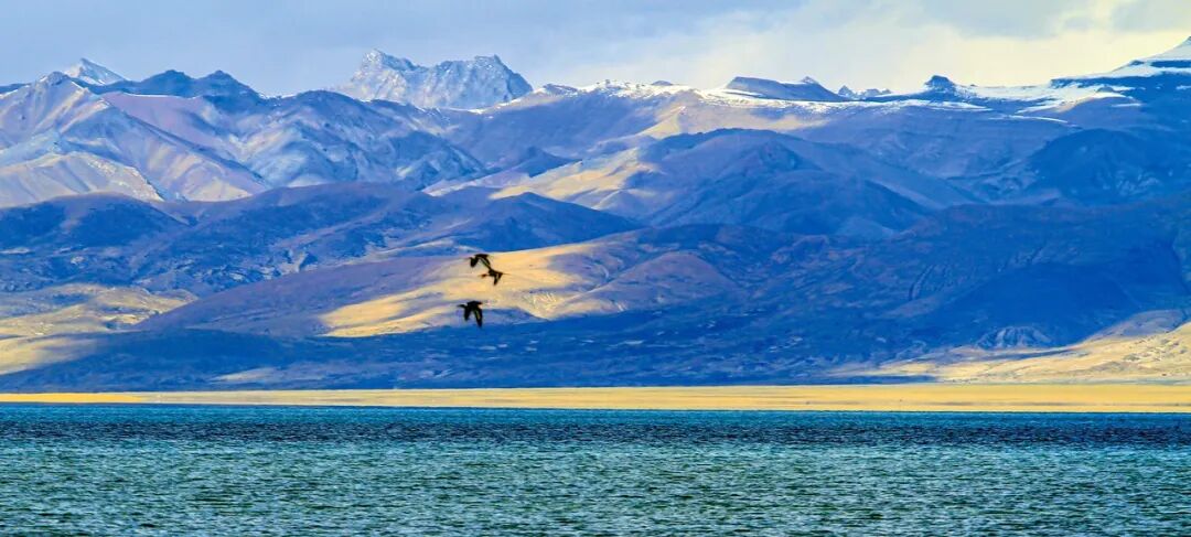 中国唯一没有“树”的城市：种活一棵奖励30万！比韩国大3倍，景色绝美，却无人敢去......