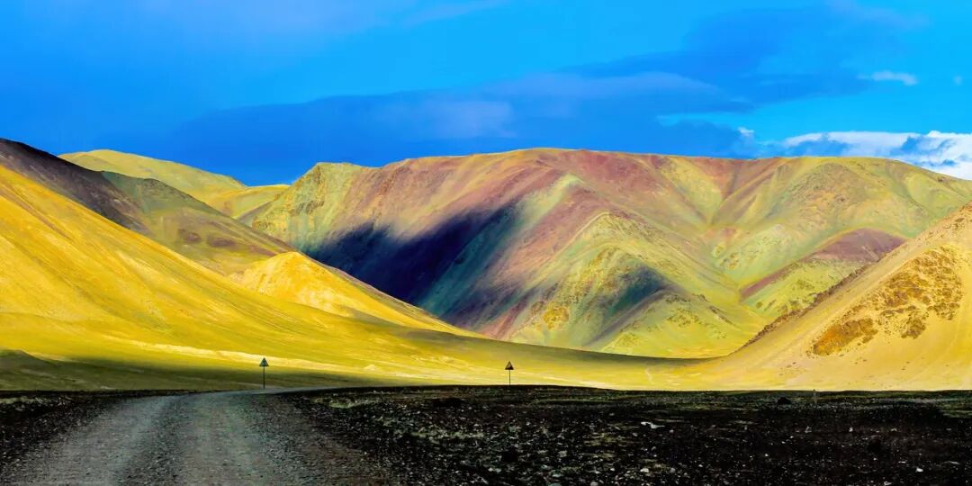 中国唯一没有“树”的城市：种活一棵奖励30万！比韩国大3倍，景色绝美，却无人敢去......