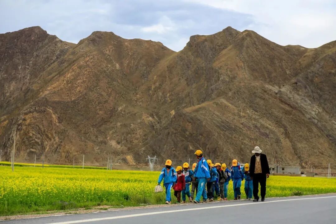 中国唯一没有“树”的城市：种活一棵奖励30万！比韩国大3倍，景色绝美，却无人敢去......