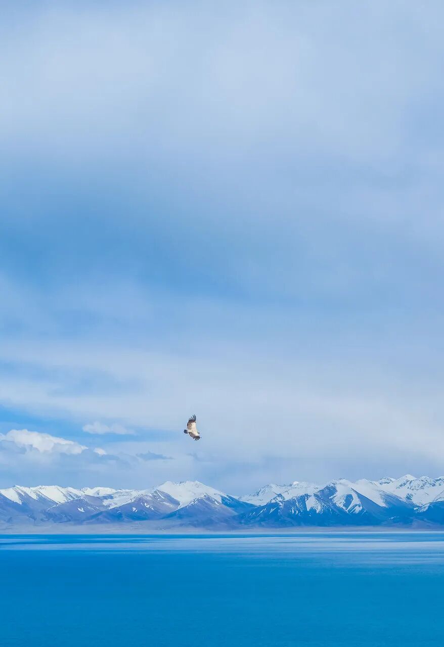 中国唯一没有“树”的城市：种活一棵奖励30万！比韩国大3倍，景色绝美，却无人敢去......