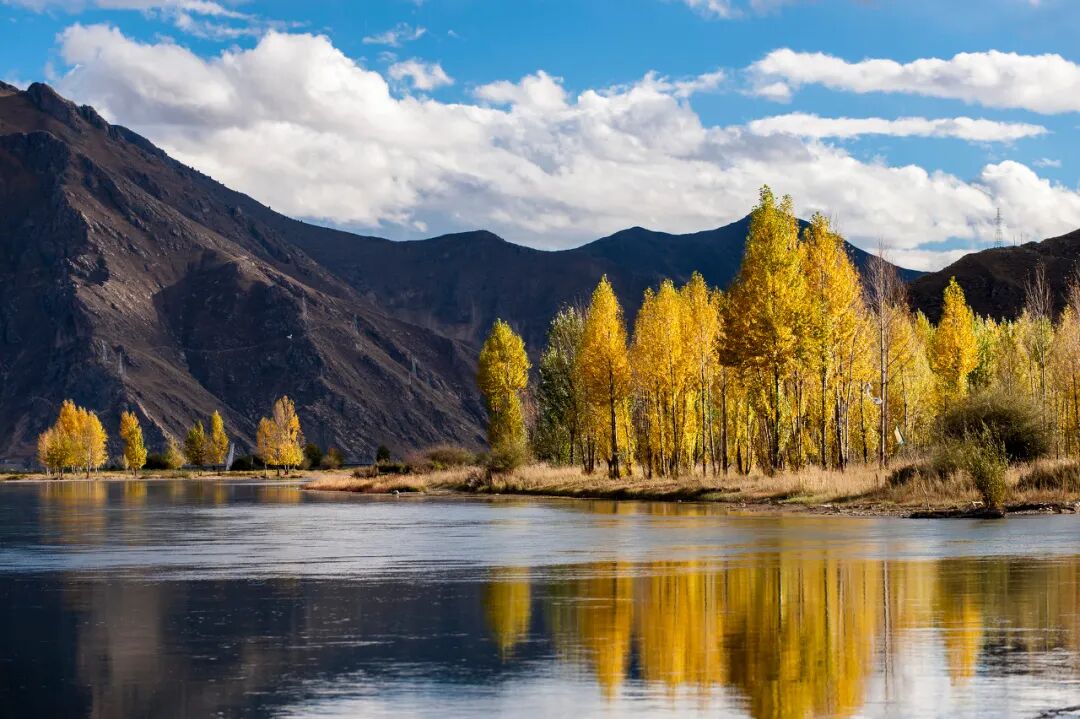 中国唯一没有“树”的城市：种活一棵奖励30万！比韩国大3倍，景色绝美，却无人敢去......