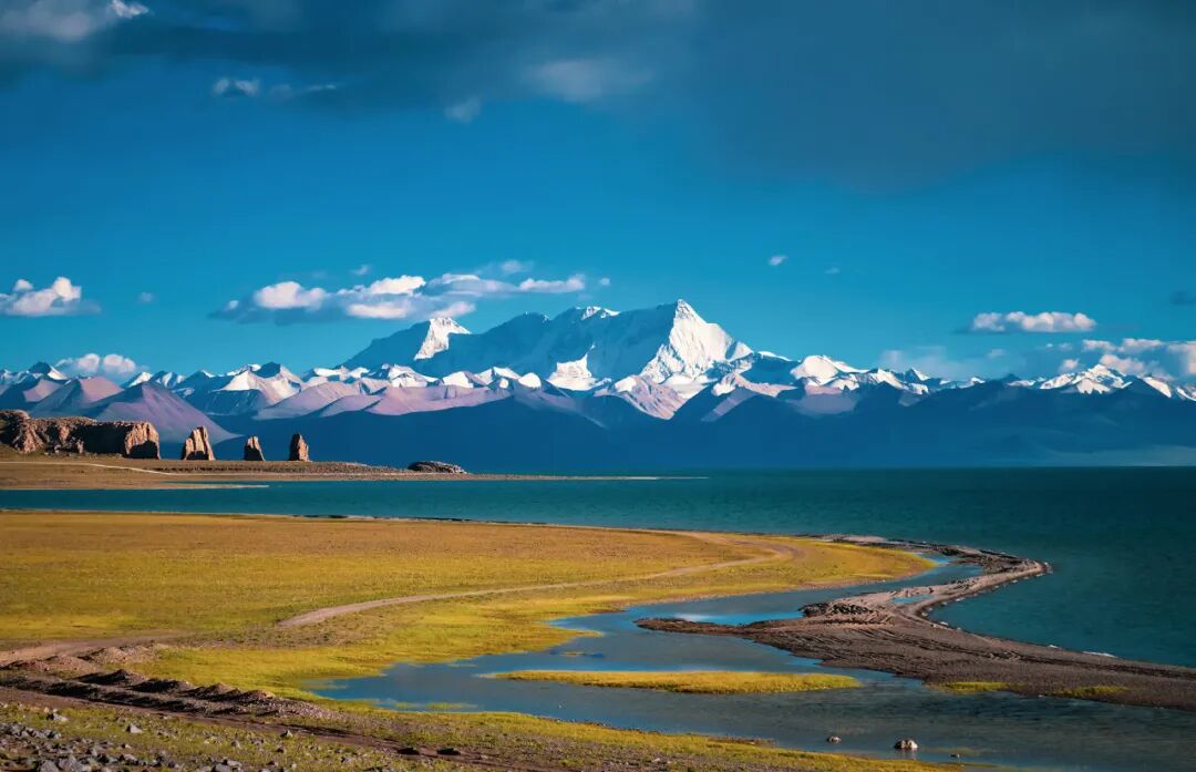 中国唯一没有“树”的城市：种活一棵奖励30万！比韩国大3倍，景色绝美，却无人敢去......