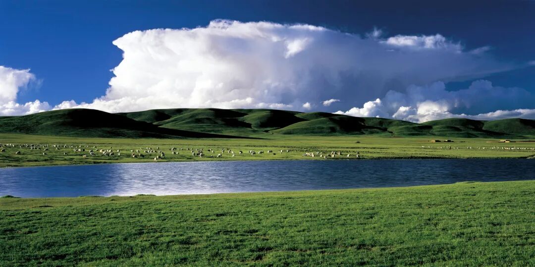 中国唯一没有“树”的城市：种活一棵奖励30万！比韩国大3倍，景色绝美，却无人敢去......