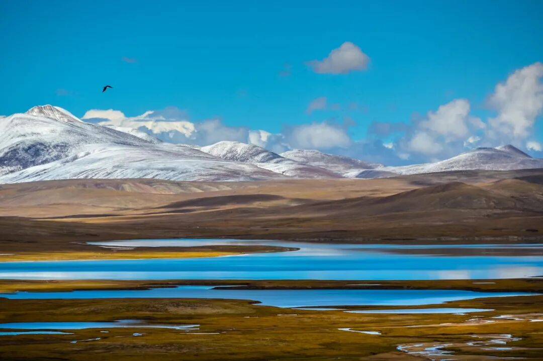 中国唯一没有“树”的城市：种活一棵奖励30万！比韩国大3倍，景色绝美，却无人敢去......