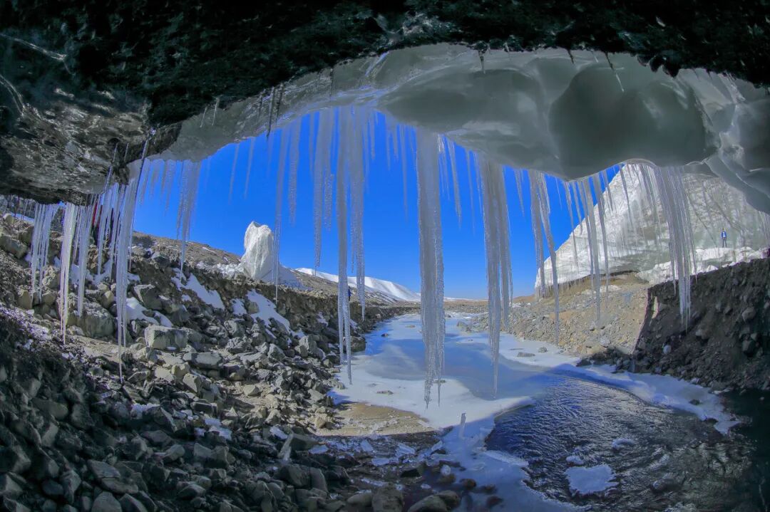中国唯一没有“树”的城市：种活一棵奖励30万！比韩国大3倍，景色绝美，却无人敢去......