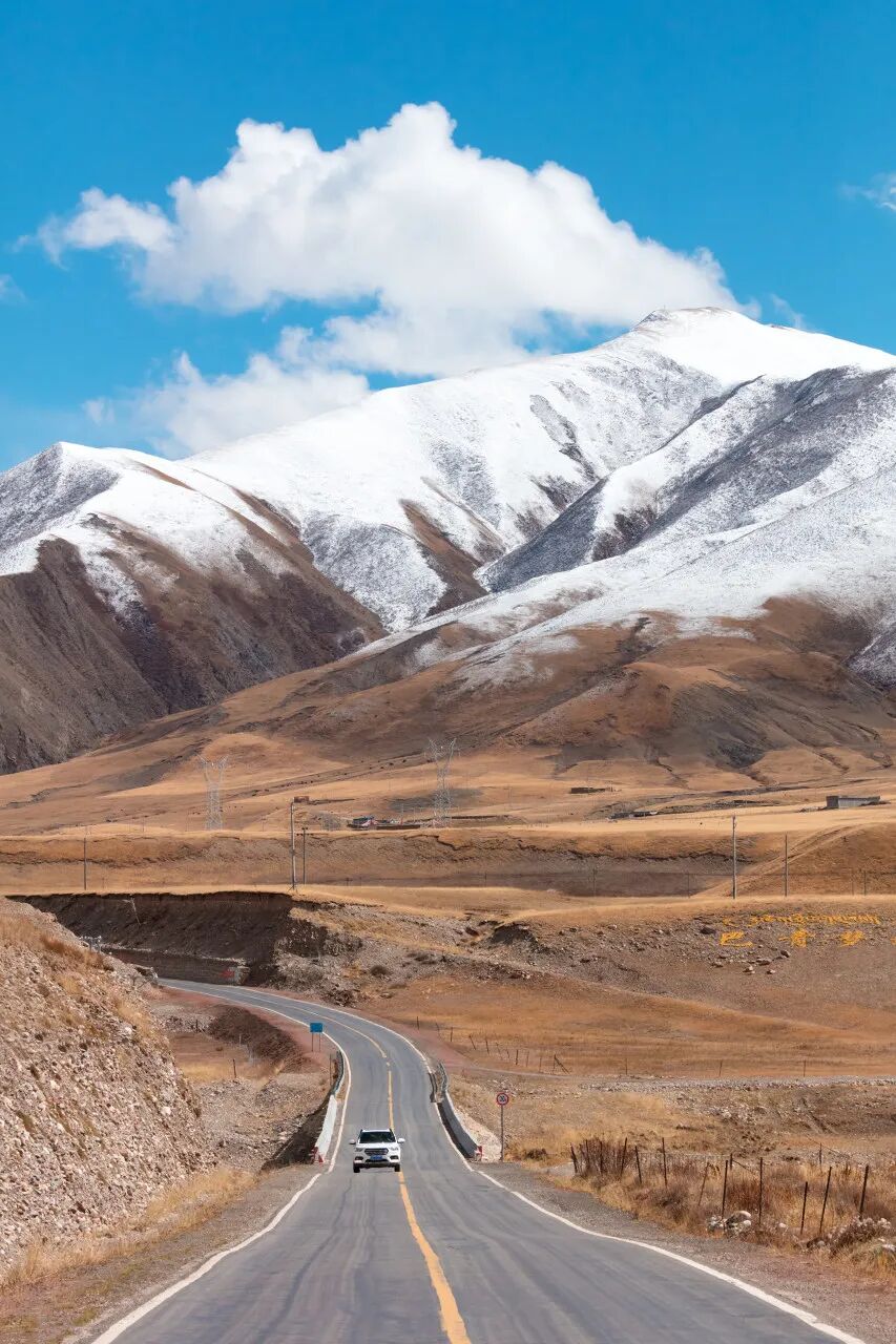 中国唯一没有“树”的城市：种活一棵奖励30万！比韩国大3倍，景色绝美，却无人敢去......