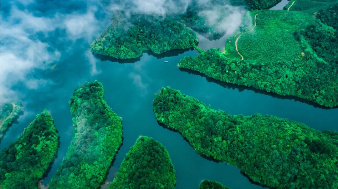 中国又一座城市被老外“占据”，30万老外涌入，竟能使用外币！美到窒息，还是此生必去......