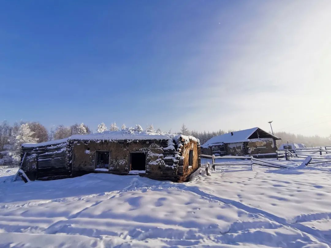 零下71℃！世界最冷的地方，北极熊扛不住，挖坟需要3天，仅有500人居住，却有无数人抢着来