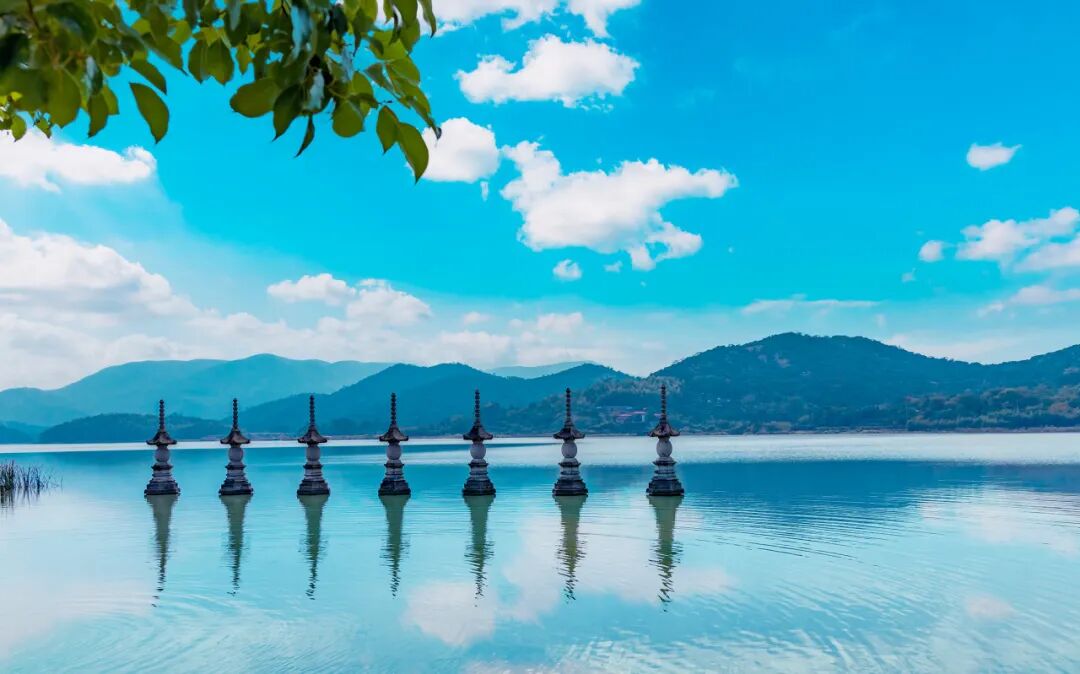 忽然，想去宁波了。