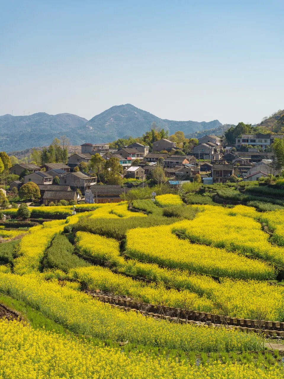 忽然，想去宁波了。