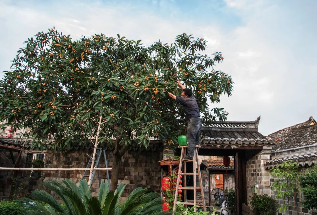 忽然，想去宁波了。