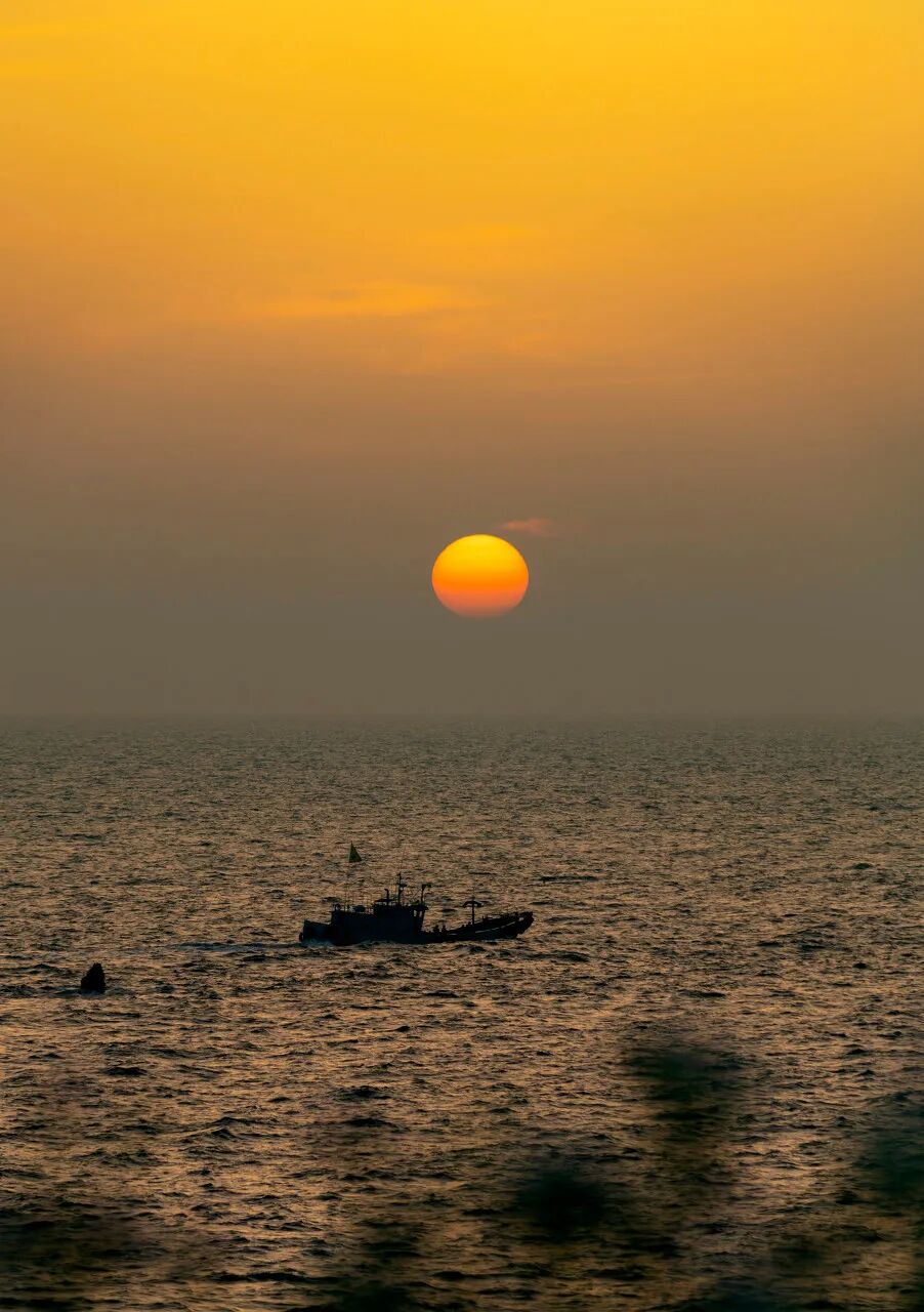 忽然，想去宁波了。