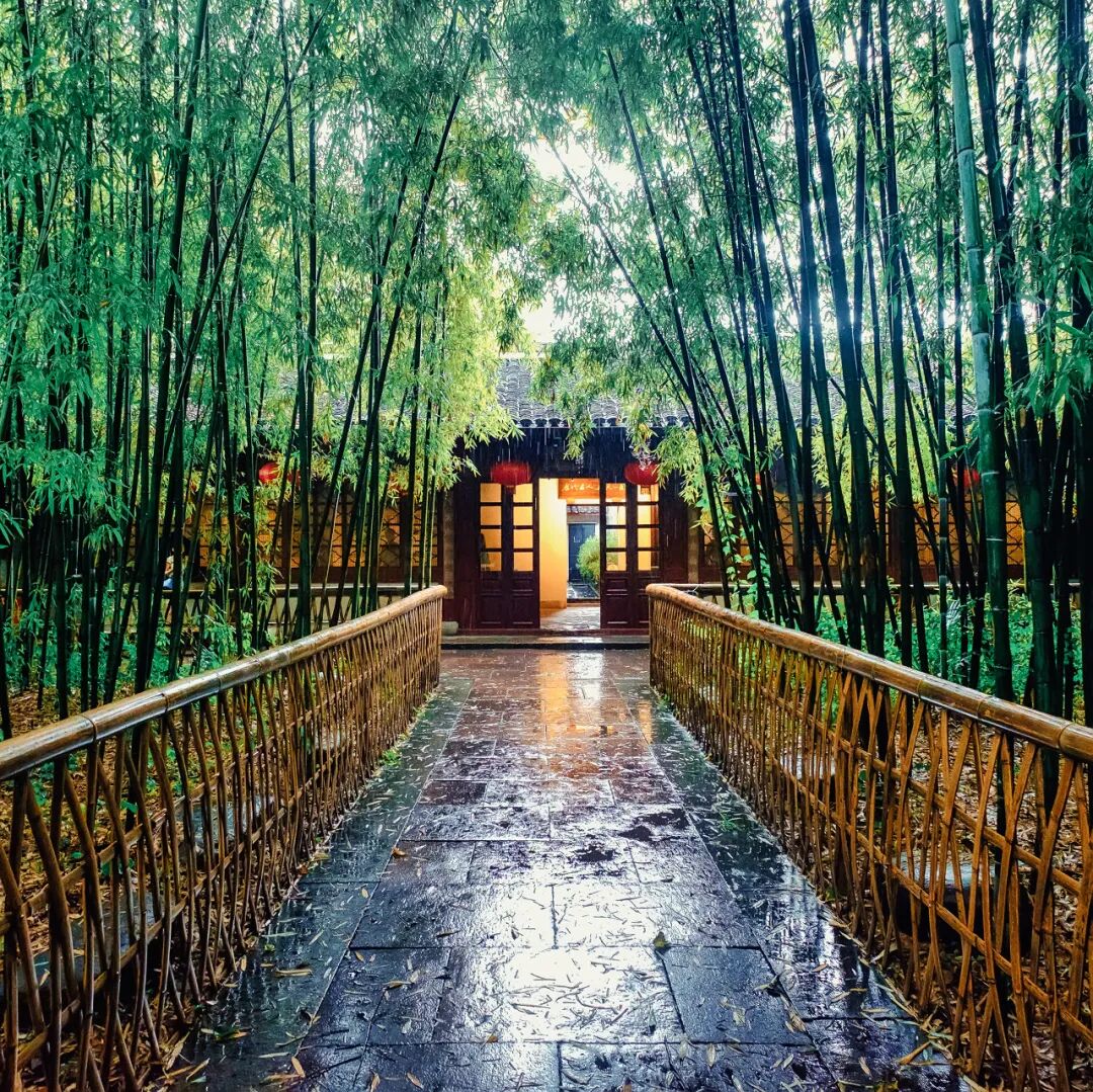 忽然，想去宁波了。