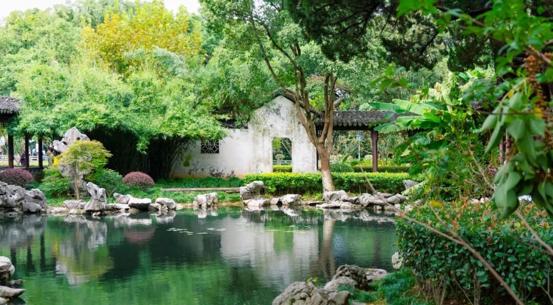 忽然，想去宁波了。