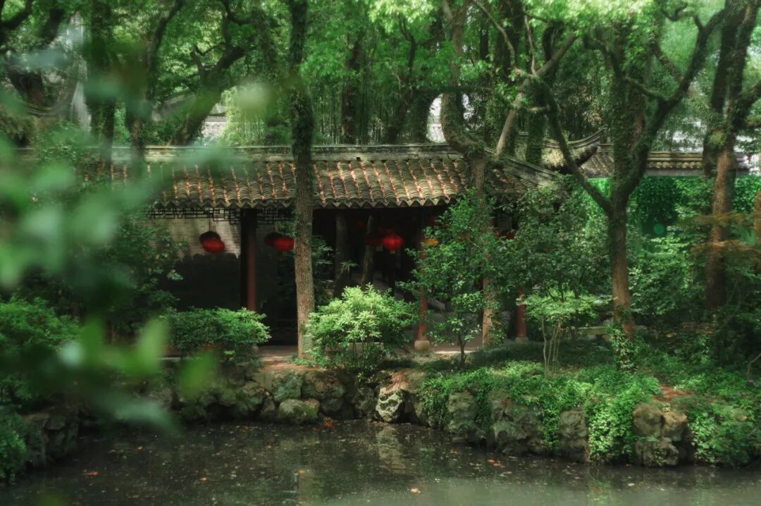 忽然，想去宁波了。