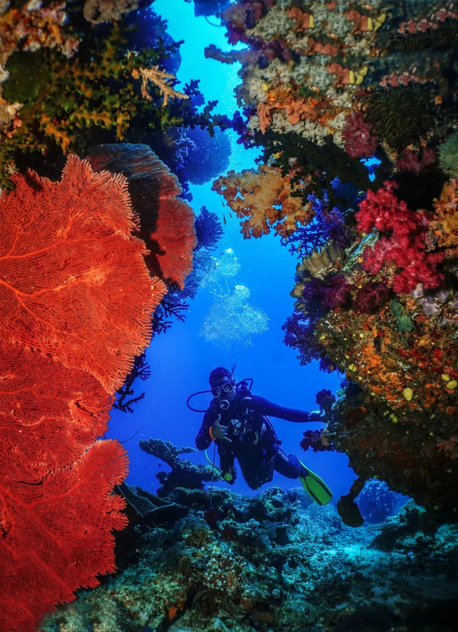 世界唯一没有“癌症”的国家：禁止携带苹果，对中国免签！比马代纯净，美到窒息却鲜有人知......